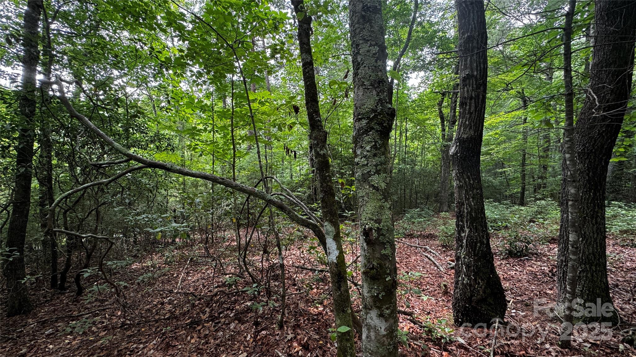 The Coves Mountain River Club - Land