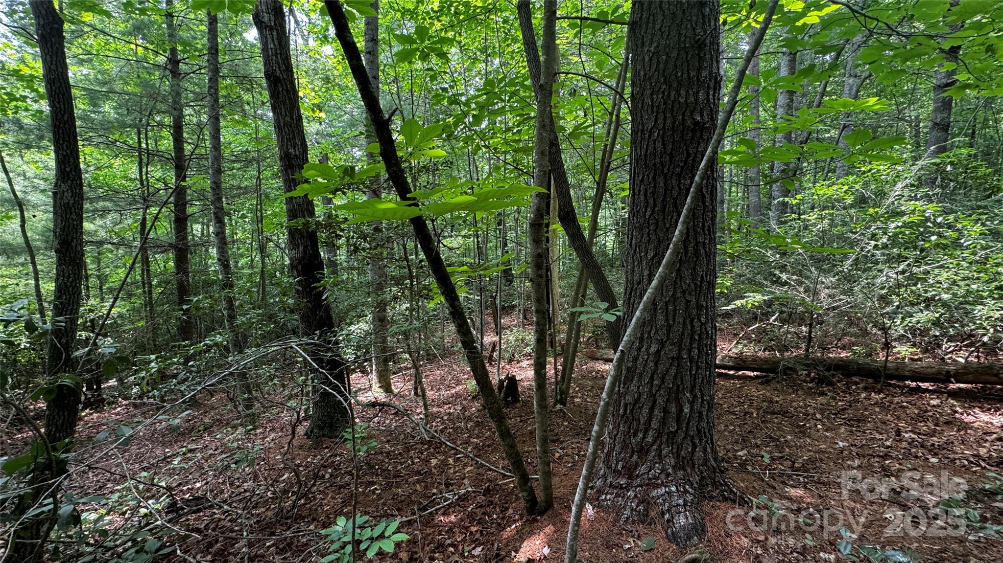 The Coves Mountain River Club - Land