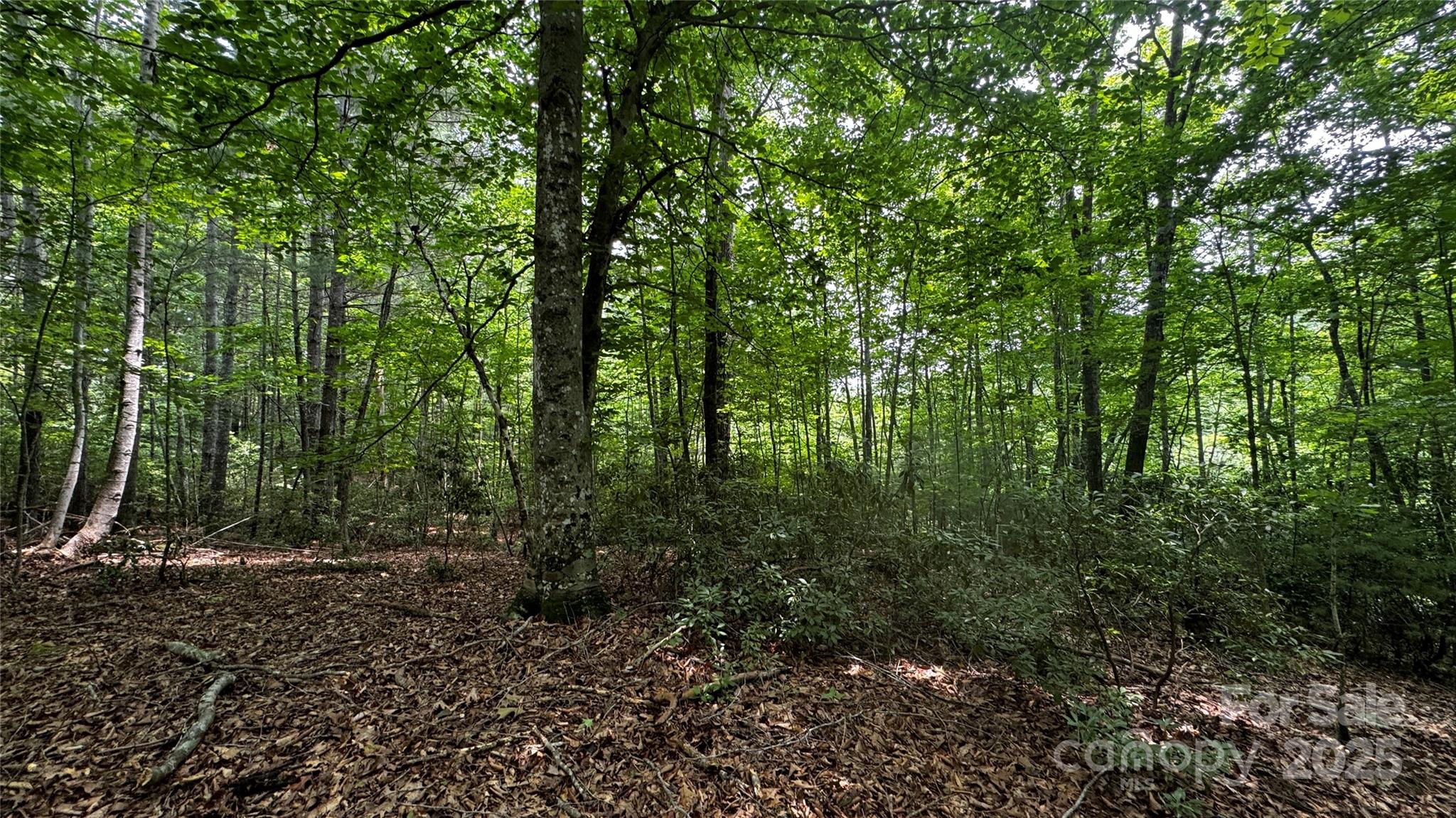 The Coves Mountain River Club - Land