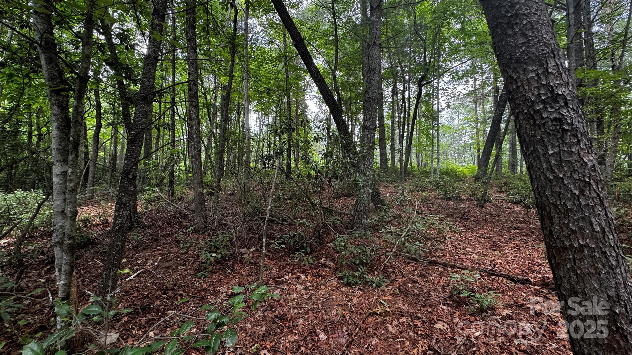 The Coves Mountain River Club - Land