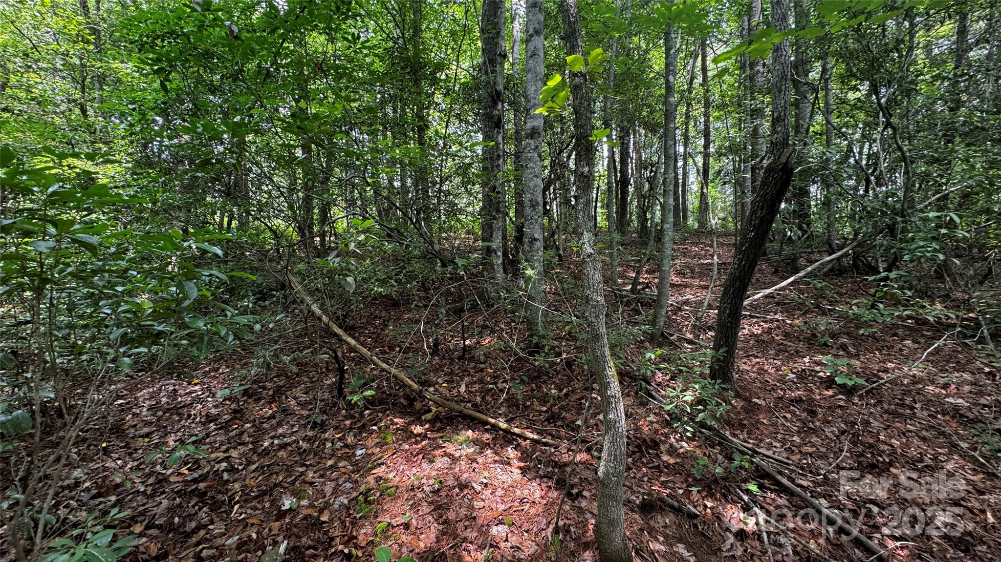 The Coves Mountain River Club - Land