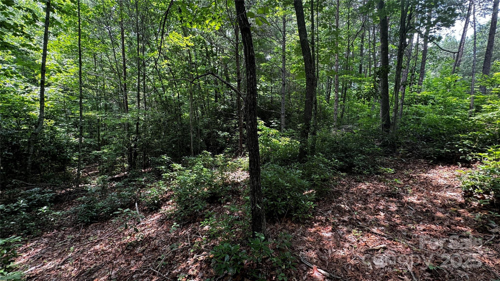 The Coves Mountain River Club - Land