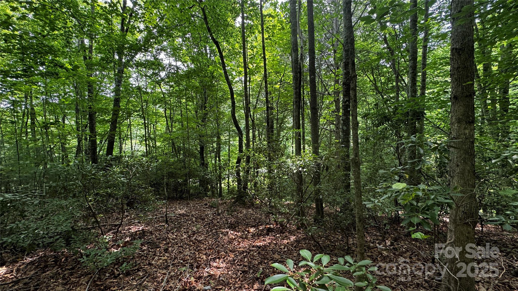 The Coves Mountain River Club - Land