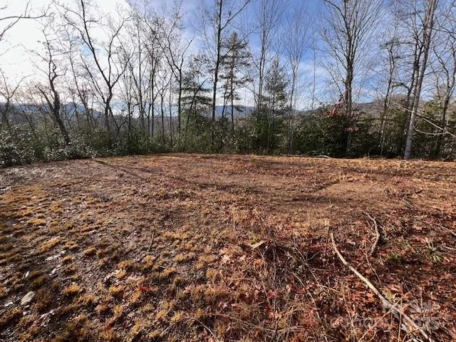 LOT 2 Tobacco Branch Road, Almond, NC, 28702