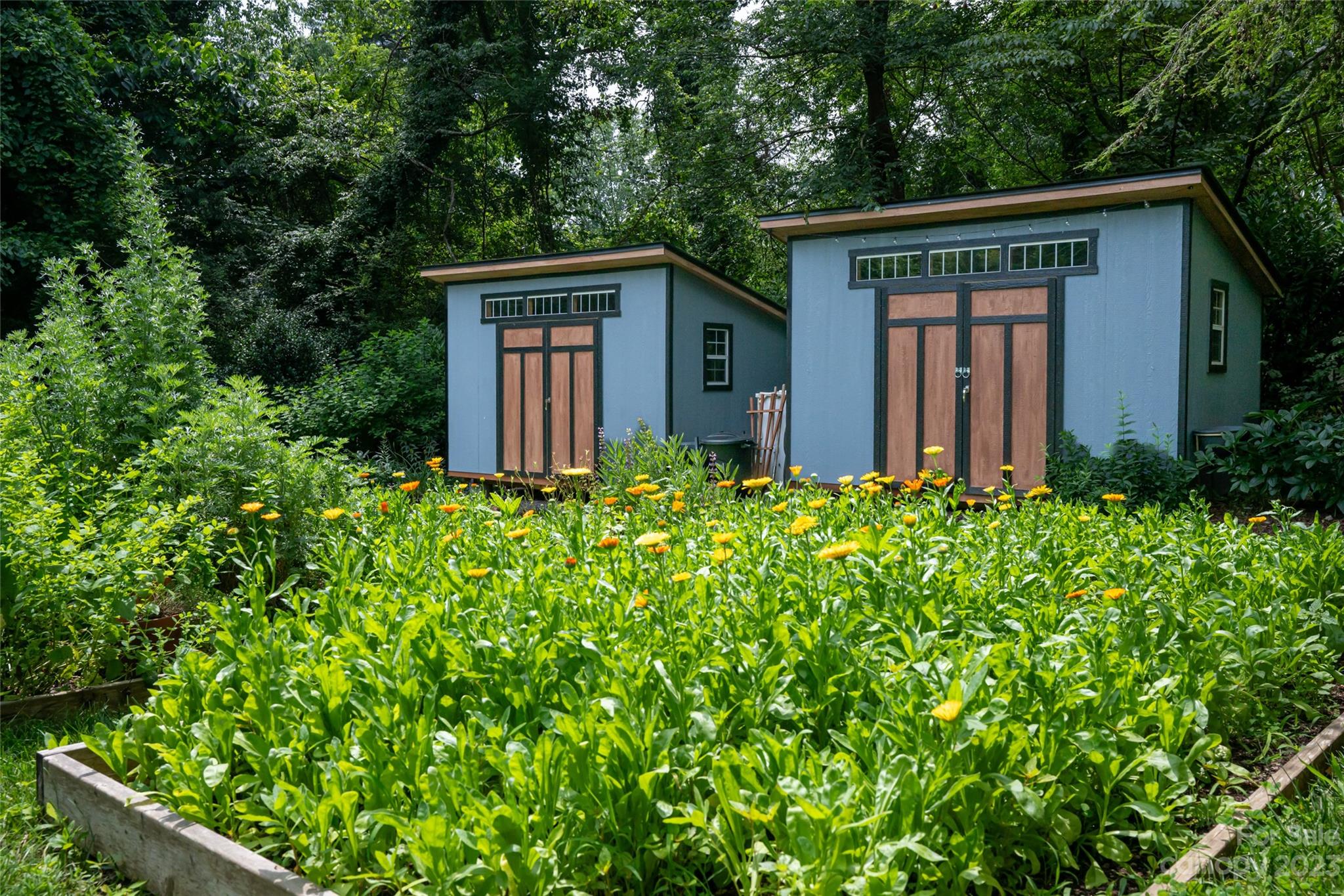 West Asheville - Residential