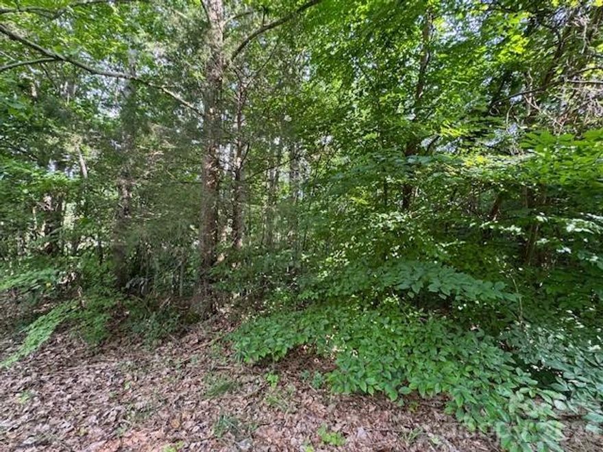 Tucked away in the calm countryside of North Iredell’s this quiet lot offers a rare promise of peace and possibility. With no HOA or restrictions, there is freedom to build a place that feels truly yours—bring your dreams and your plans.  Lot 14 (4729042490) can be combined to create over an acre of paradise.  A soil test is complete, making your vision even easier to build. All that’s left is to start your next chapter. Welcome home.