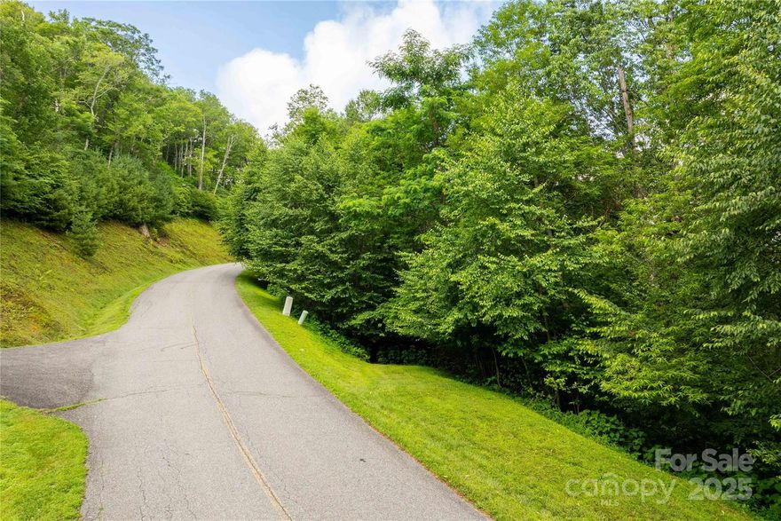 Discover the perfect canvas for your mountain dream home on Lot 123 in the Firethorn community of Blowing Rock. This exceptional lot offers a gently sloping, build-friendly site nestled among mature hardwoods, potential for long-range views depending on home placement and clearing. This lot provides privacy while being just minutes from downtown Blowing Rock and the Blue Ridge Parkway.

Enjoy access to all of Firethorn’s premier amenities, including a gated entry, trout-stocked stream, private hiking trails, a community clubhouse, and picnic areas. Underground utilities, high-speed internet availability, and paved roads are already in place—offering the perfect blend of natural beauty and modern convenience. Firethorn’s protective covenants and architectural guidelines help preserve both property values and the character of this low-impact, thoughtfully planned development.

Don’t miss your opportunity to build in one of the High Country’s most sought-after luxury communities.