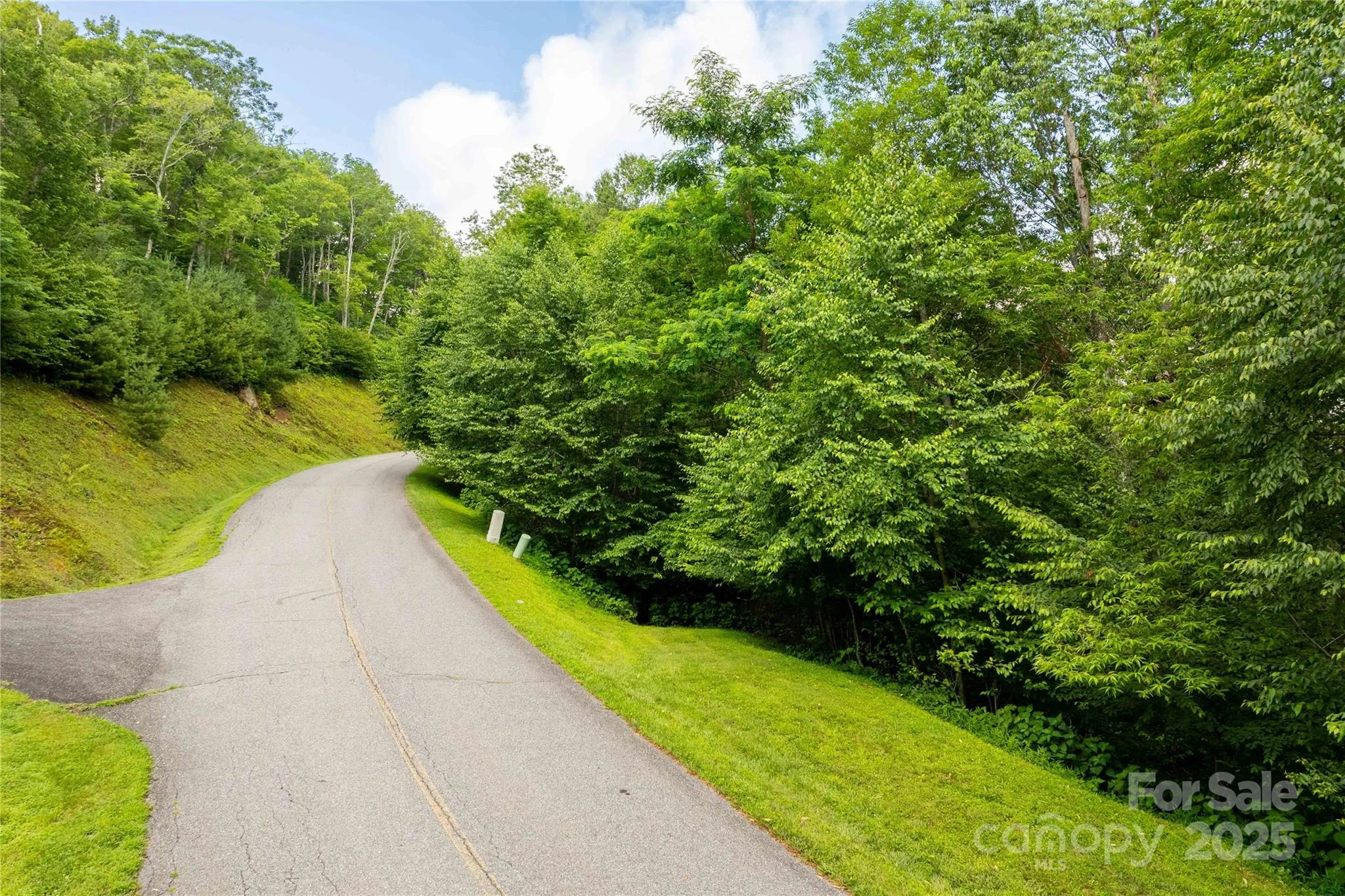 TBD Lot 123 Firethorn Trail Unit 123, Blowing Rock, NC, 28605