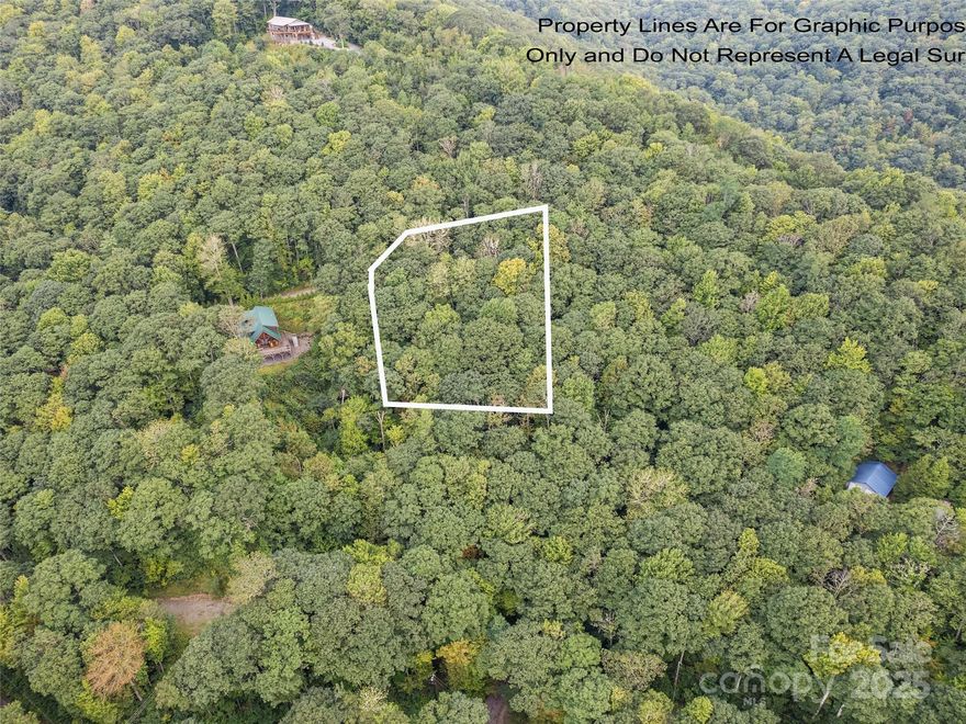 Enjoy higher elevation living in the heart of the mountains! This beautiful vacant homesite offers the perfect canvas to build your dream mountain getaway. Nestled in an established community, the property provides a peaceful setting with possible winter views. Conveniently located near the Blue Ridge Parkway, you’ll have easy access to scenic drives, hiking, and all the natural beauty the area is known for. An adjoining home is also available for purchase — see MLS# 4284241. Whether for a seasonal retreat or your own getaway, this property is ready to bring your vision to life.