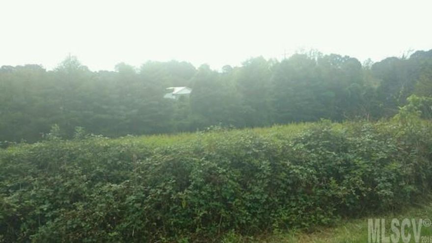 Vacant 1.16 acre lot located in Taylorsville. Property is located close to town in Shannon Park Subdivision. The land is mostly cleared with a lot of road frontage! Survey and plat on file. Land has not been perked but buyer can get it perked. Sewer is close by (potential to hook up to sewer if a buyer would like). Located in the county and just behind East Taylorsville Church and within approx. a mile of Hwy 64/90. Very convenient and quaint area! Shannon Park Circle, Taylorsville, NC.