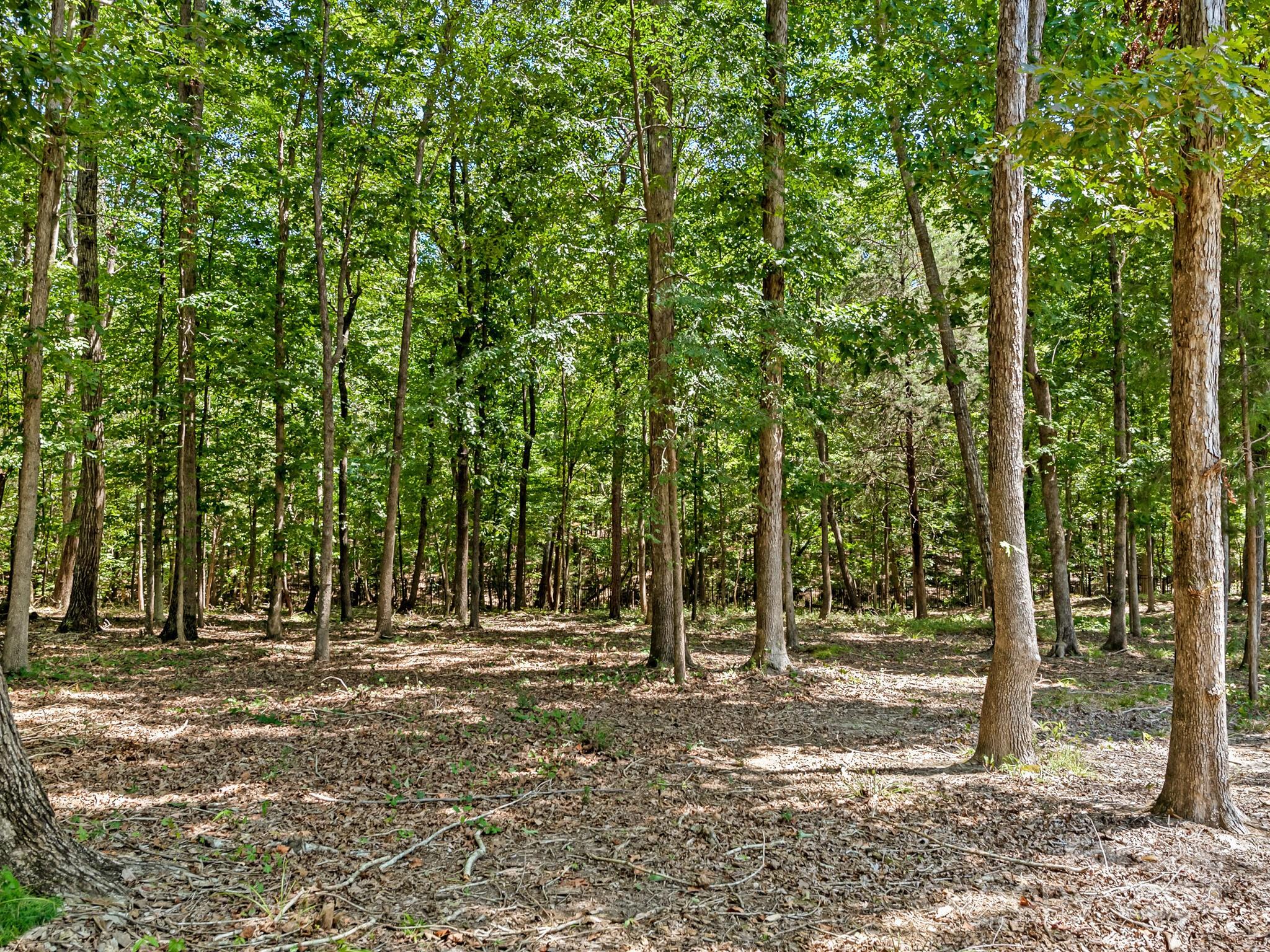 Providence Road Estates - Residential