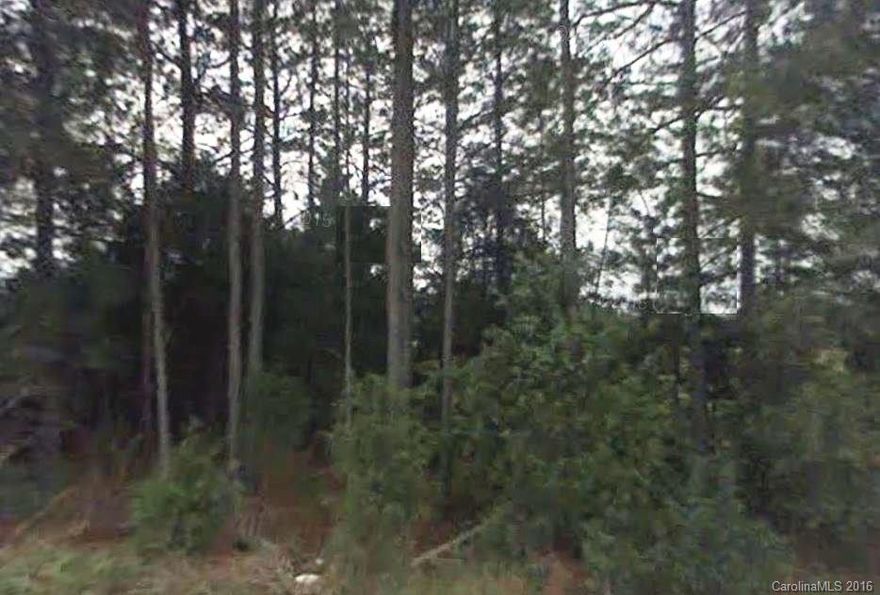 Large lot under 6 acres great for country living! Build your dreamhome here!