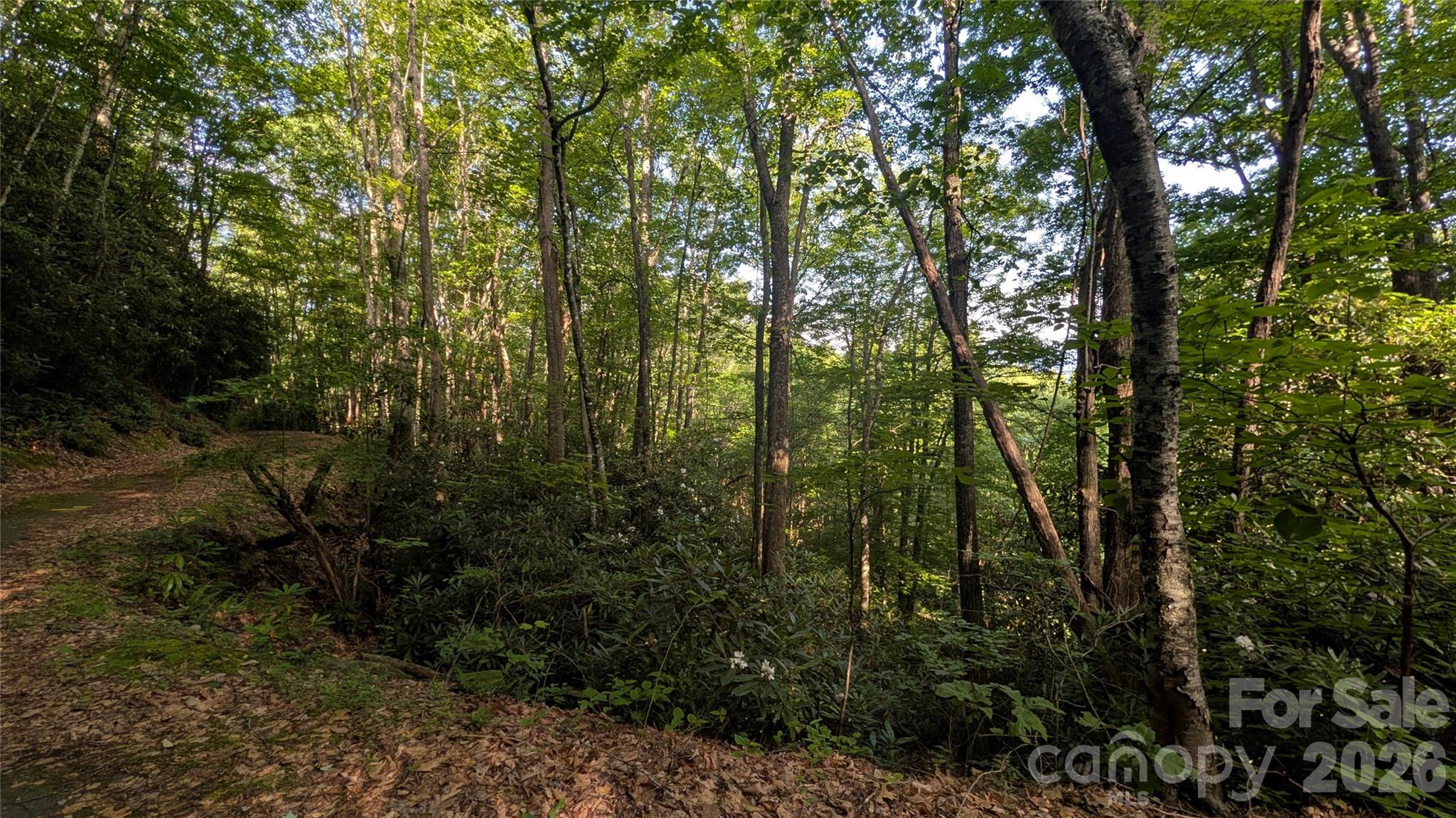 00 Chestnut Walk 6,7,8