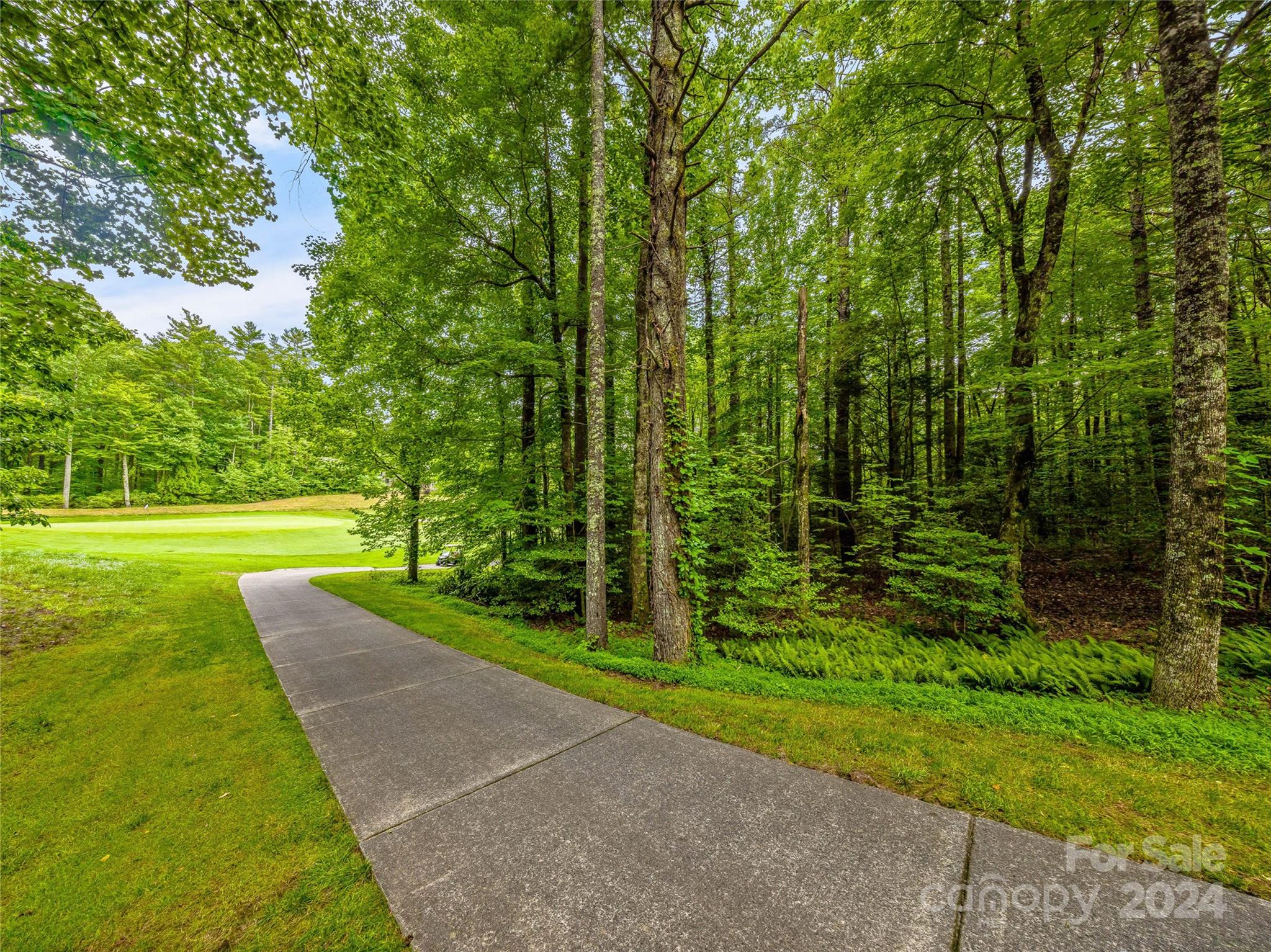 Lake Toxaway Estates - Land