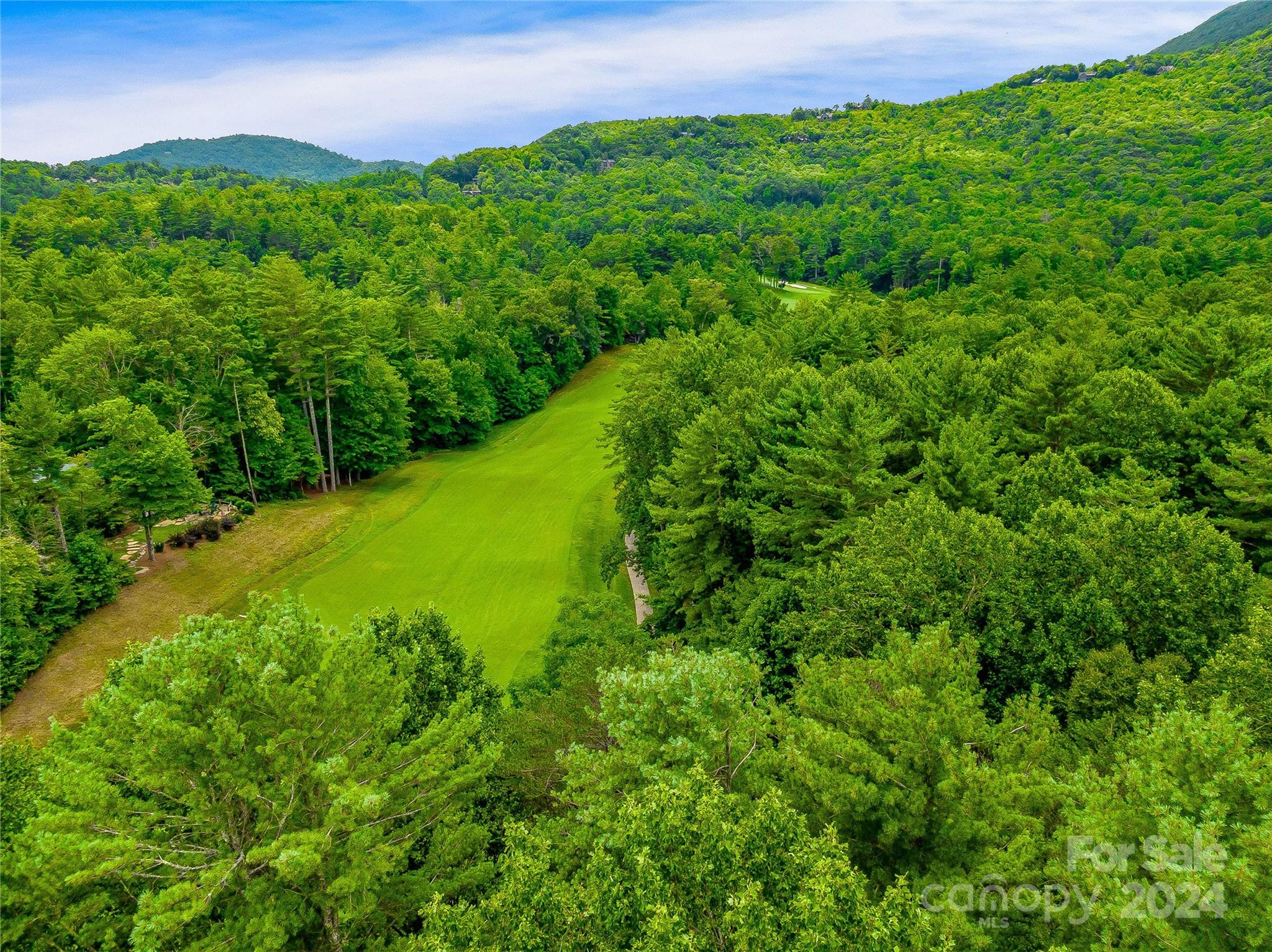 Lake Toxaway Estates - Land