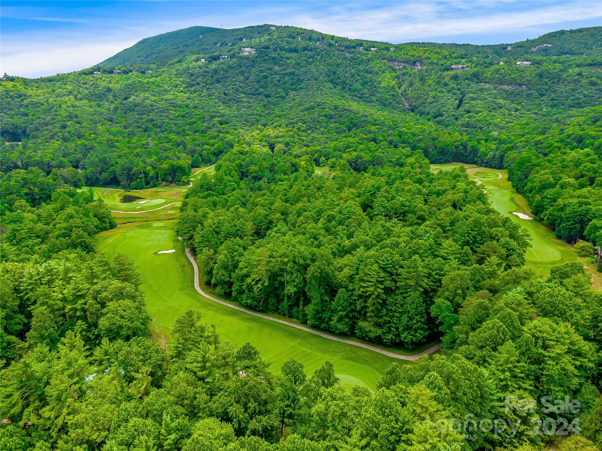 Lake Toxaway Estates - Land