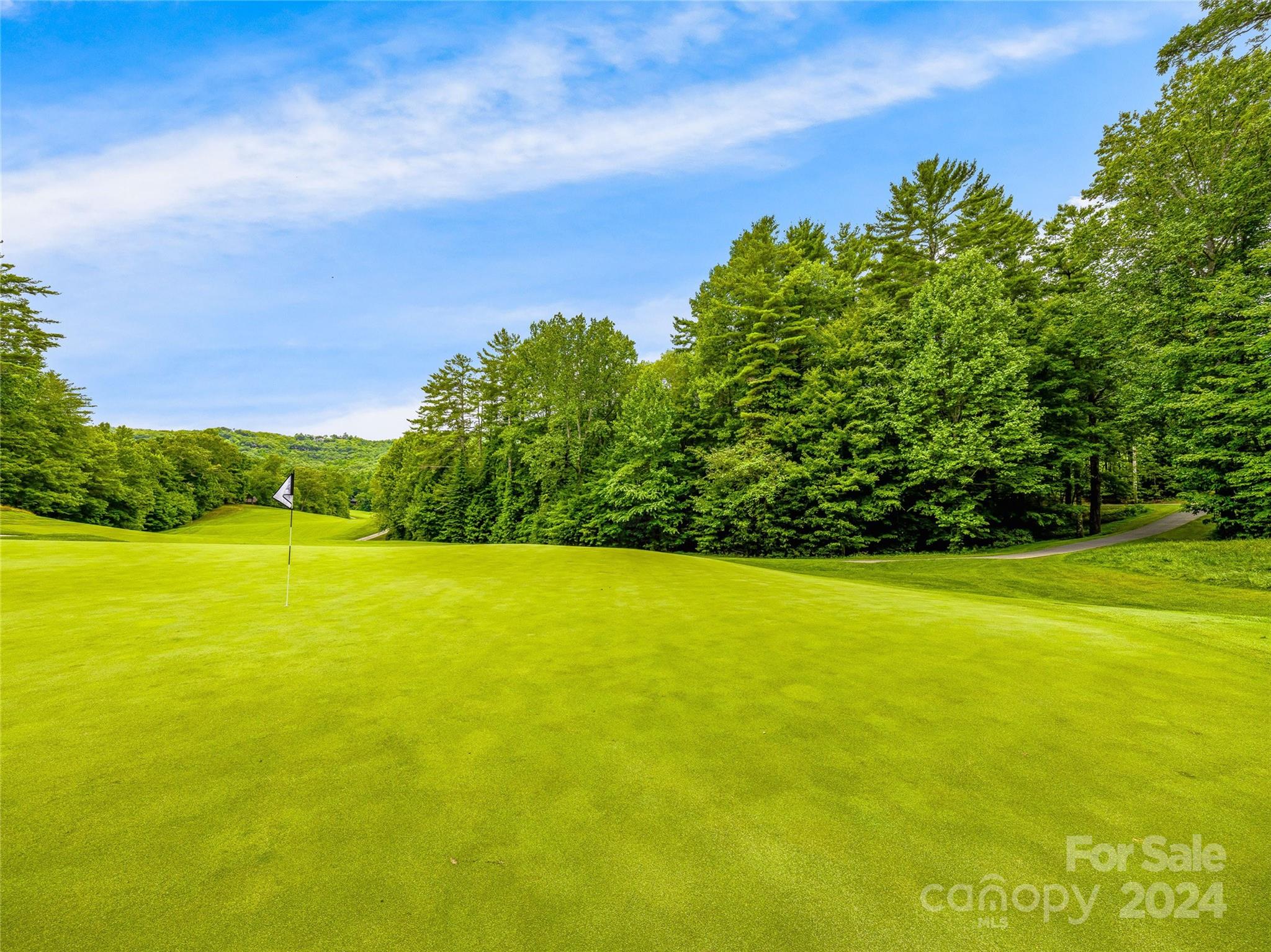 Lake Toxaway Estates - Land