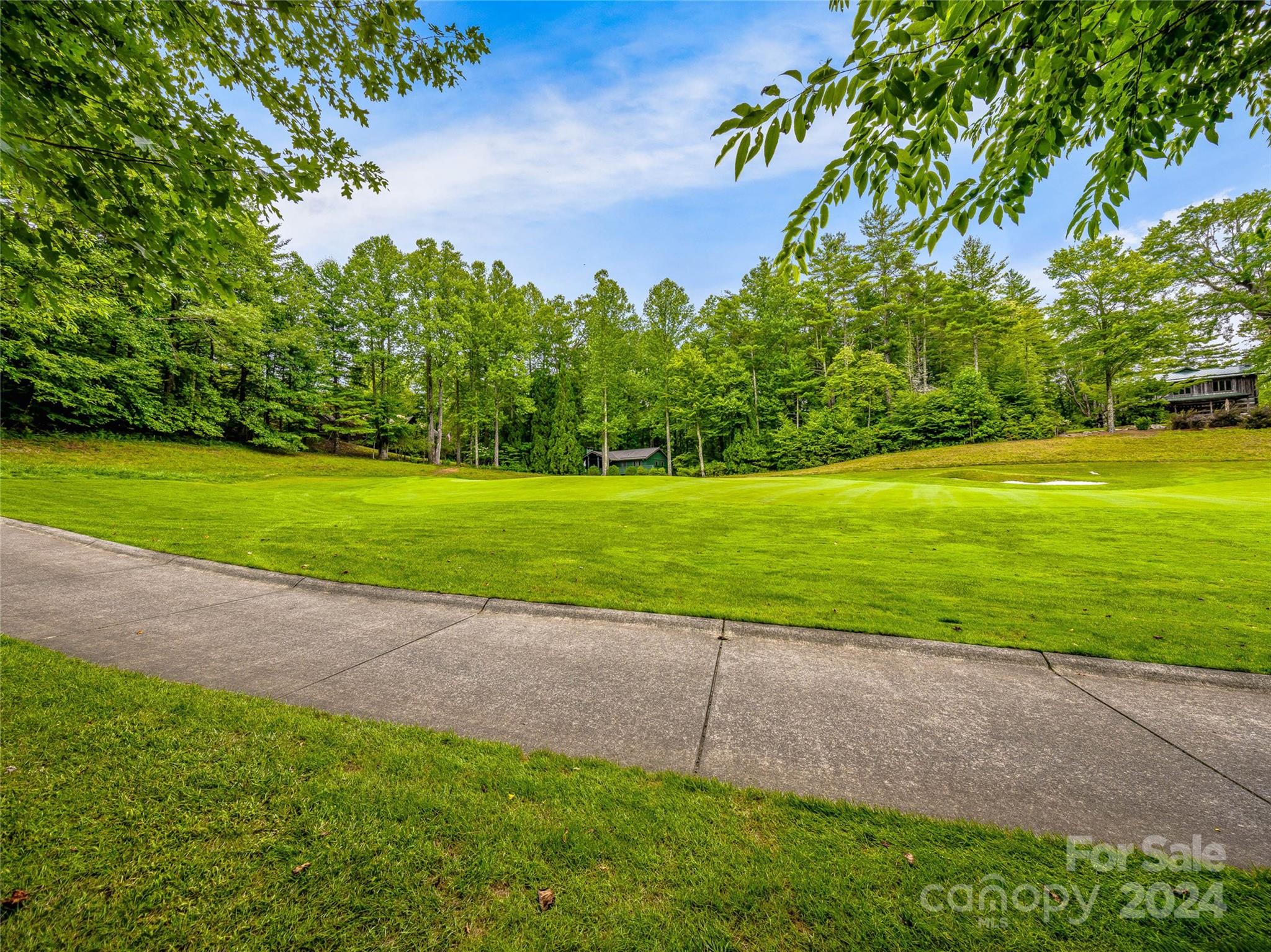 Lake Toxaway Estates - Land
