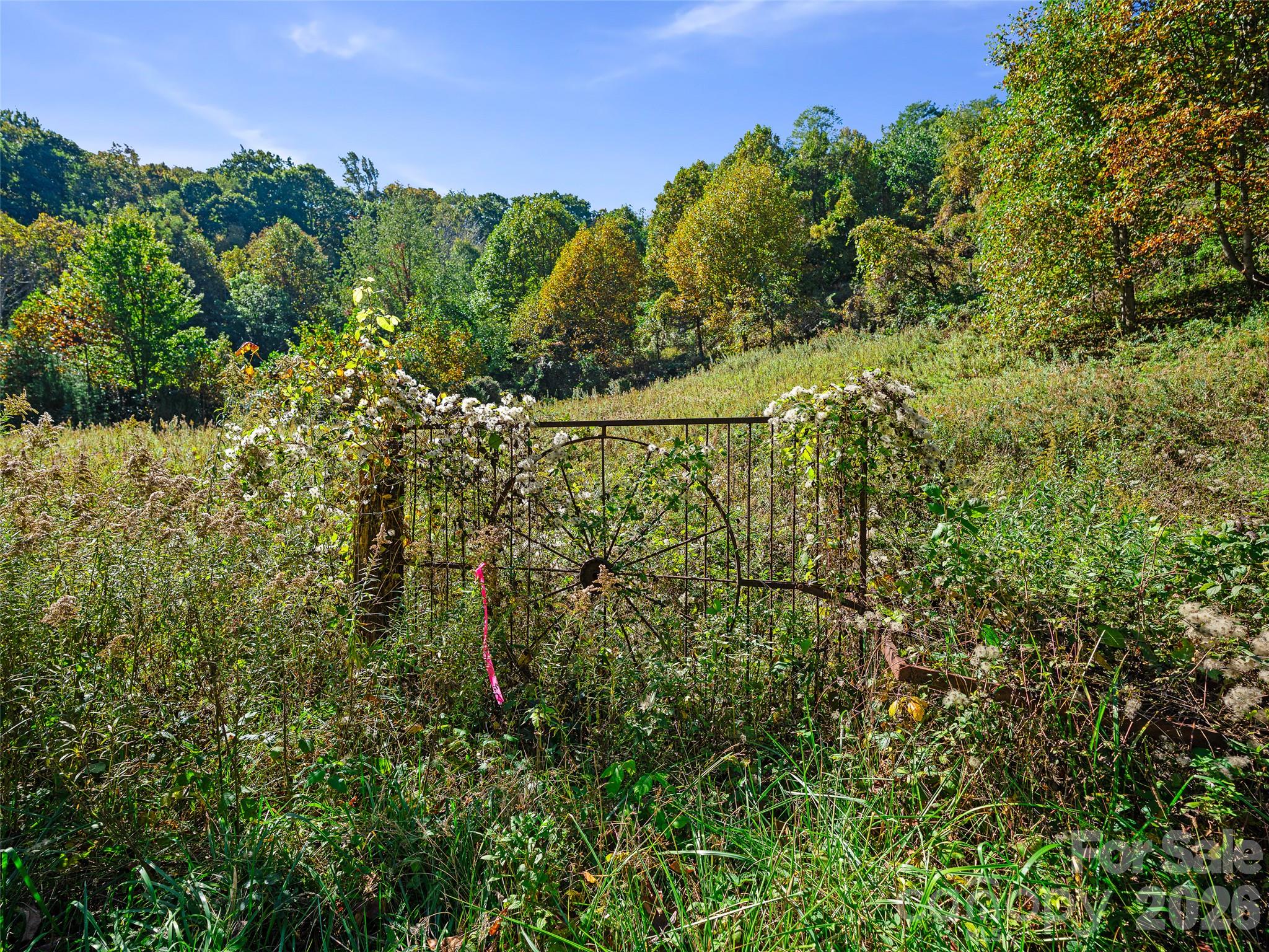 TBD Chestnut Grove Road