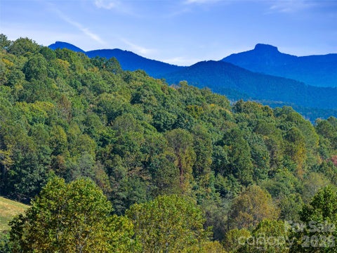 Photo of TBD Chestnut Grove Road, Spruce Pine, NC 28777 (MLS # 4435613)