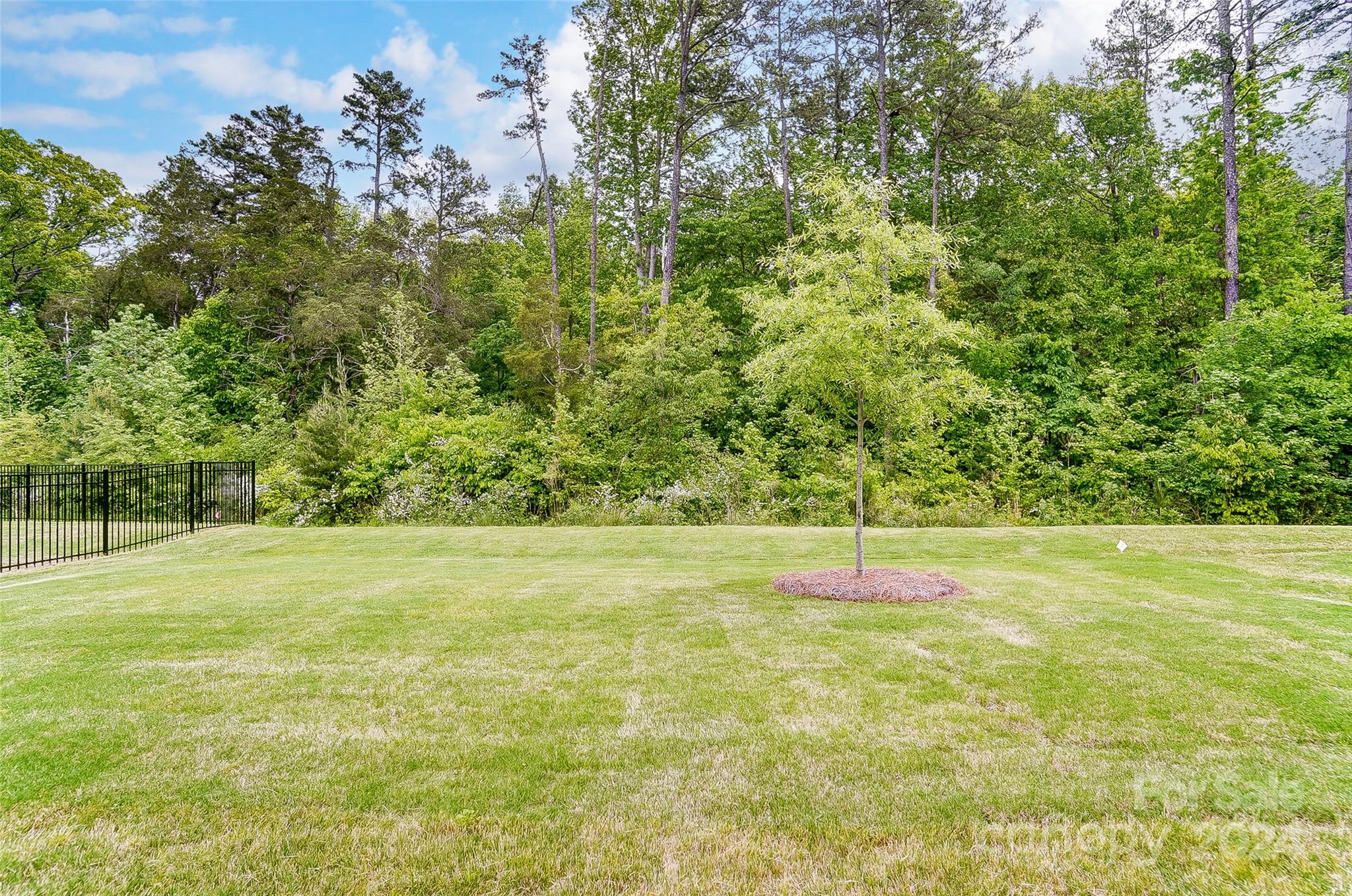 Sonata at Mint Hill - Residential