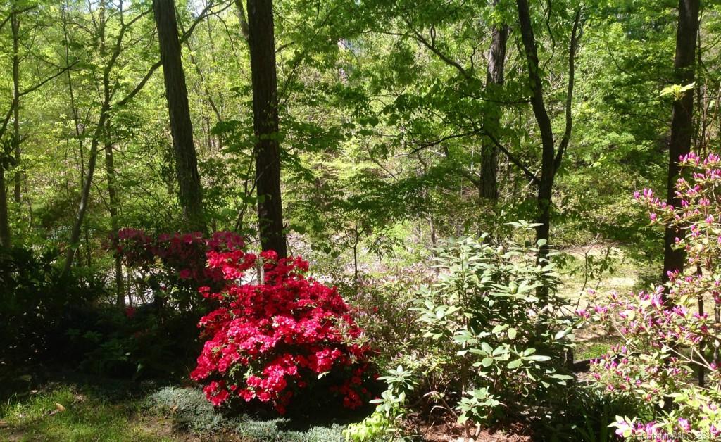 Tega Cay - Residential