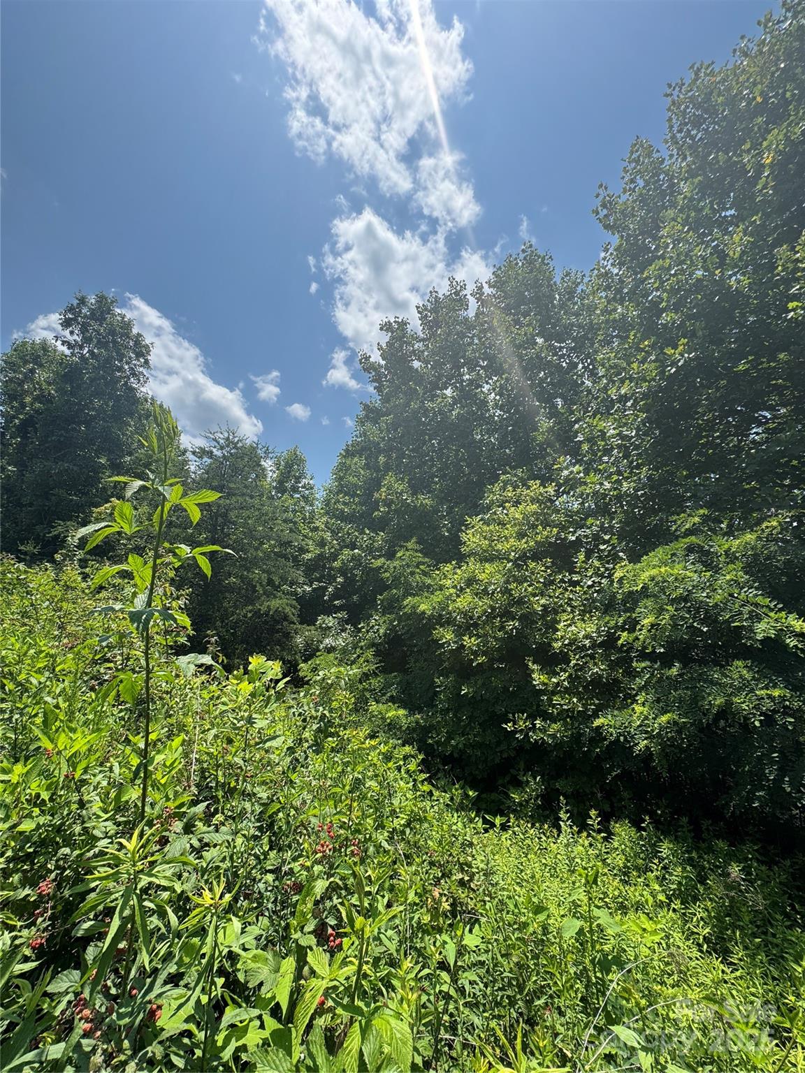 000 Mountain Lookout Drive Lot 82