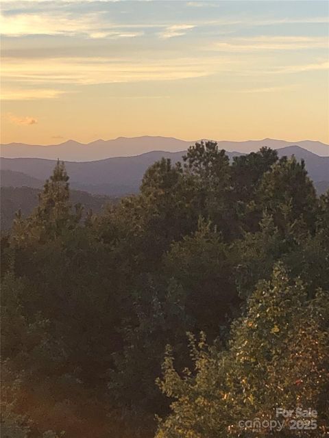 0 Mountain Lookout Drive Lot 82 Bostic NC 28018