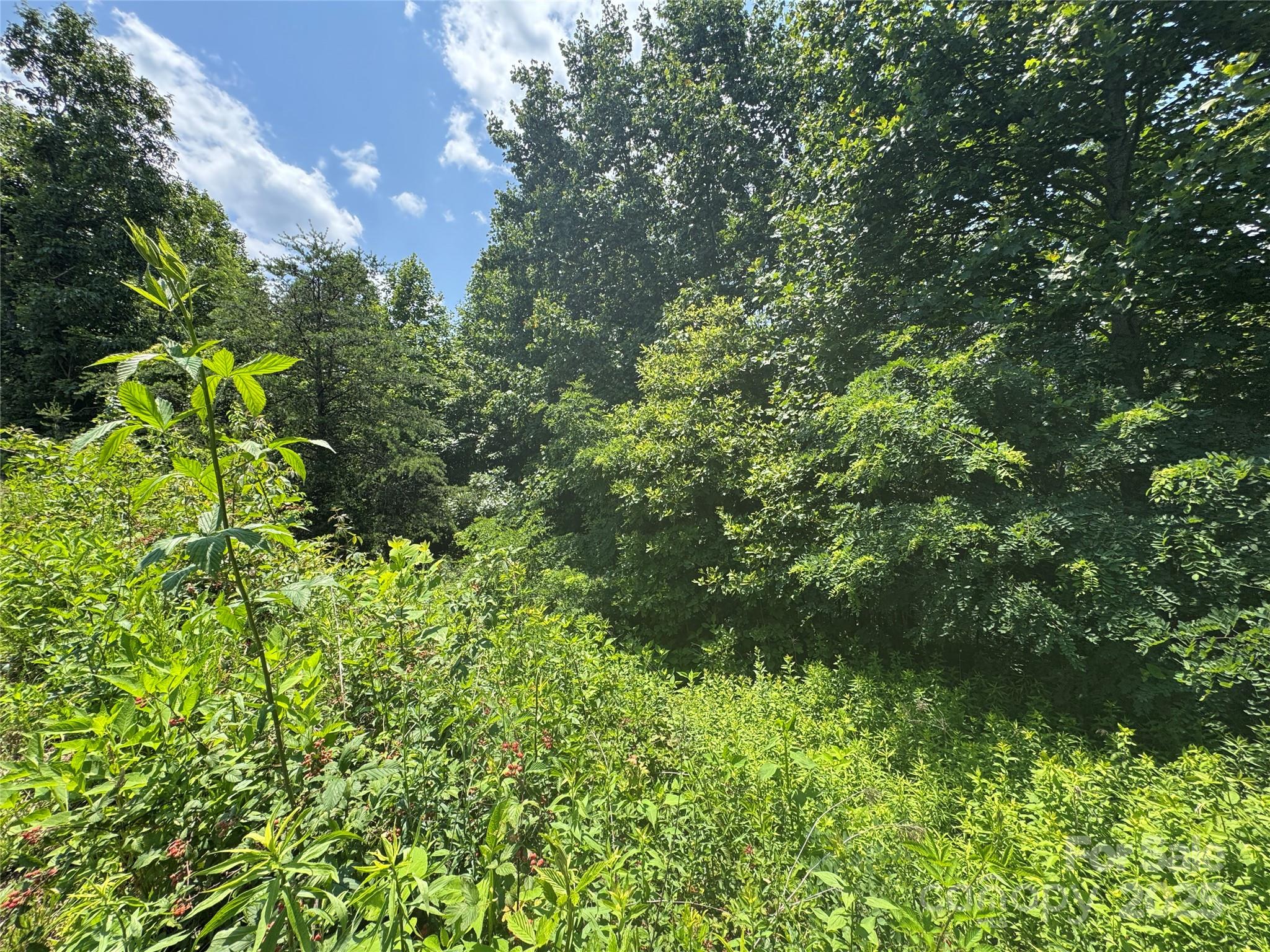 000 Mountain Lookout Drive Lot 82