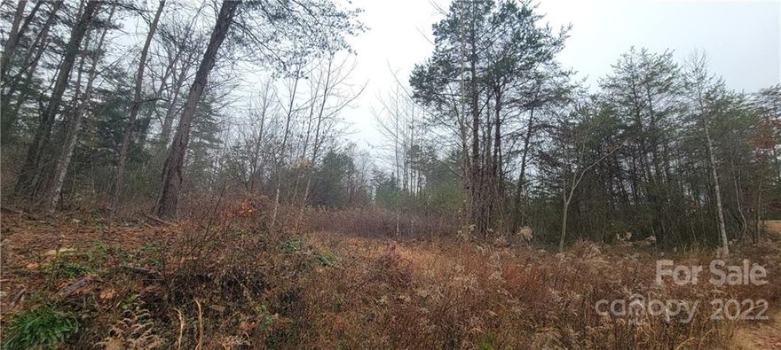 NO RESTRICTIONS. Gently sloping wooded lot. Singlewide or doublewide manufactured home allowed with vinyl siding and shingled, pitched roof (models newer than 1976).  Needs septic. County water available with tap fee.