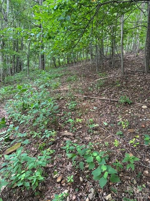 Photo of 0 Threadway Ridge Drive #1&2, Moravian Falls, NC 28654 (MLS # 4436957)