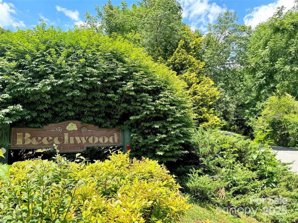 Beechwood - Land