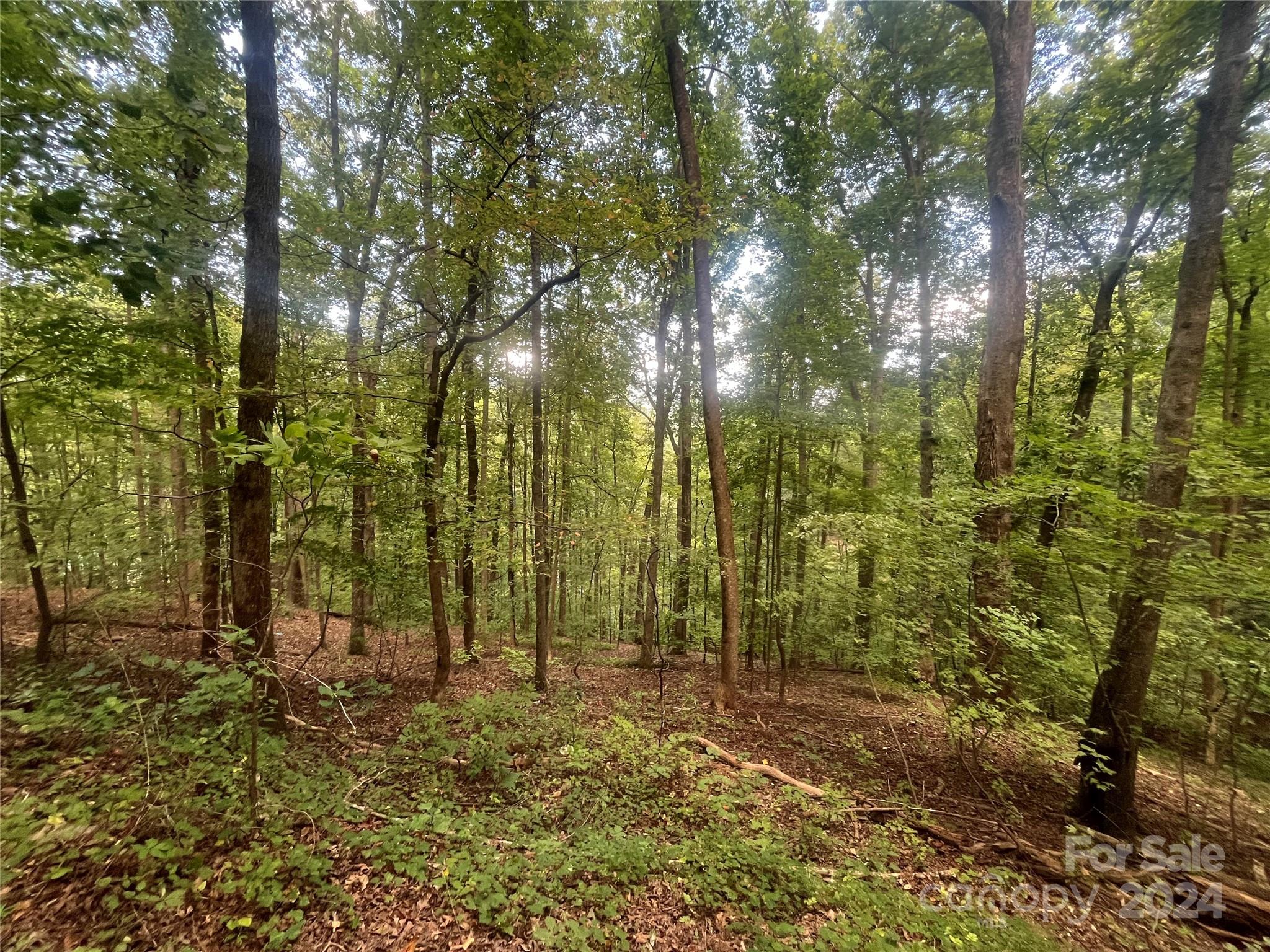 0 Luther Burbank Drive