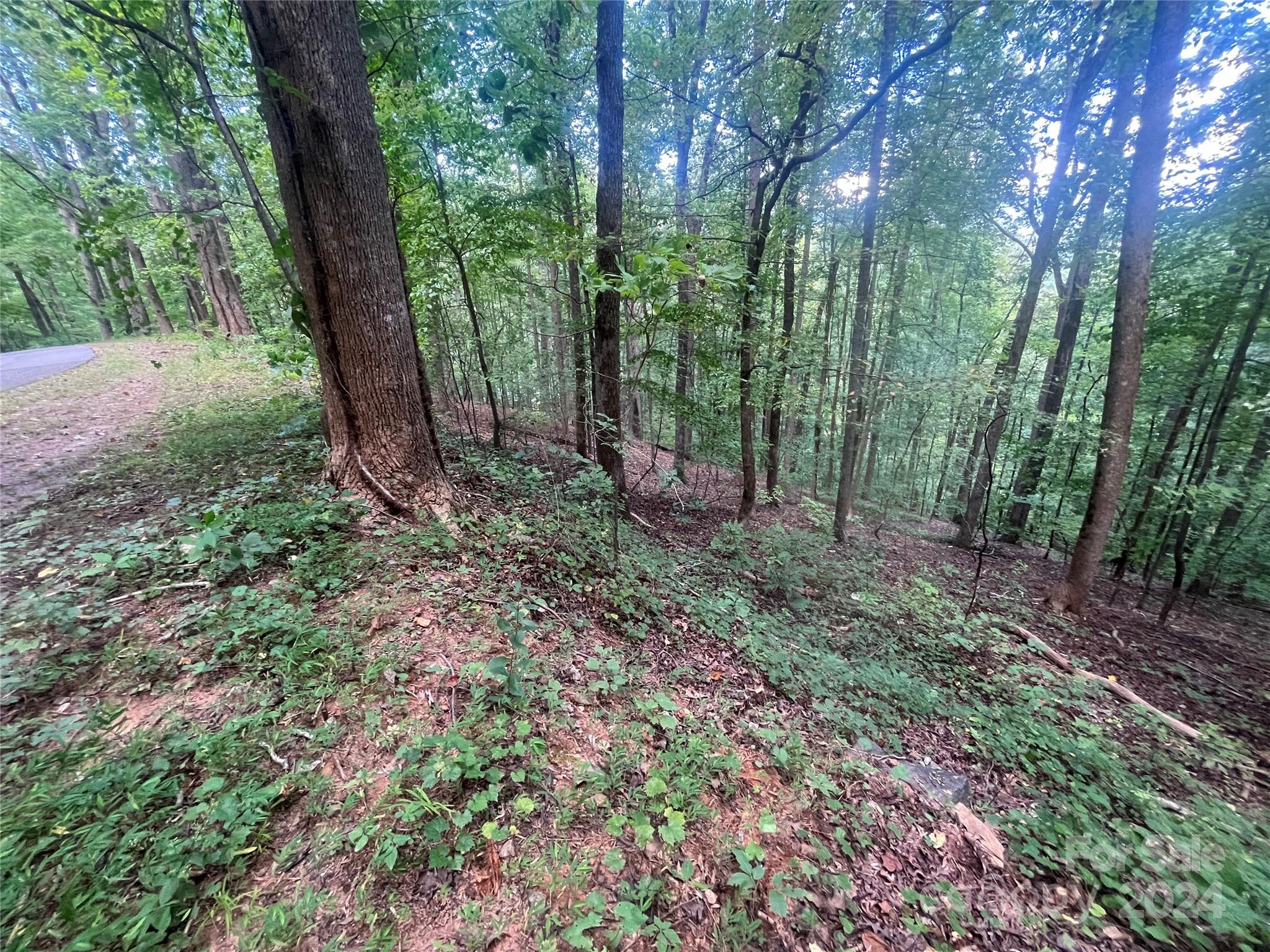 0 Luther Burbank Drive