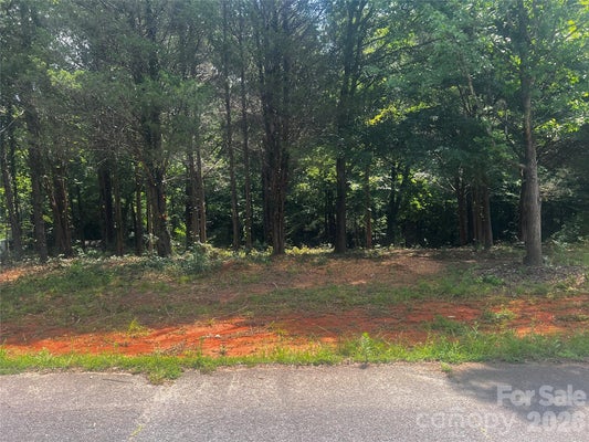 10376 TURNPLOW DR # 9, DAVIDSON, NC 28036 - Image a3a5b34e3e38df9ff3930bcdb99ae82f/3680610068