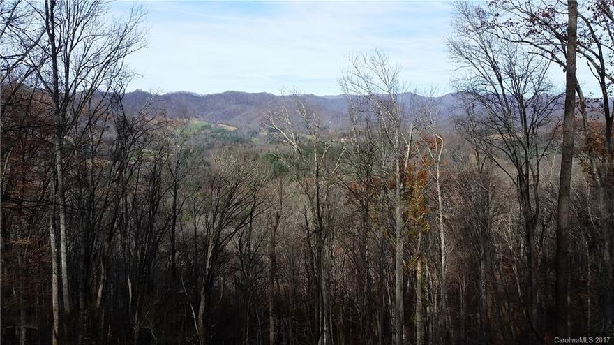 Property Taxes not assessed. Not recorded. Shared driveway. Very private 2.46-acre homesite with abundant hardwoods.  This interior site boasts a level building area that offers great mountain views from the back of the house.  Elevation is approx. 2,700 ft.  Underground phone and electric.  High-speed internet, cable and satellite TV. Community nature trails, clubhouse, ponds, picnic areas and overlooks. Only 20 minutes from Asheville and just outside Mars Hill - home to Mars Hill University.