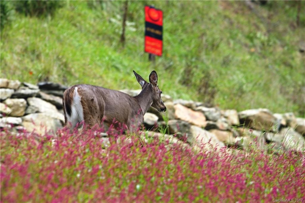 Mountain Traditions - Land
