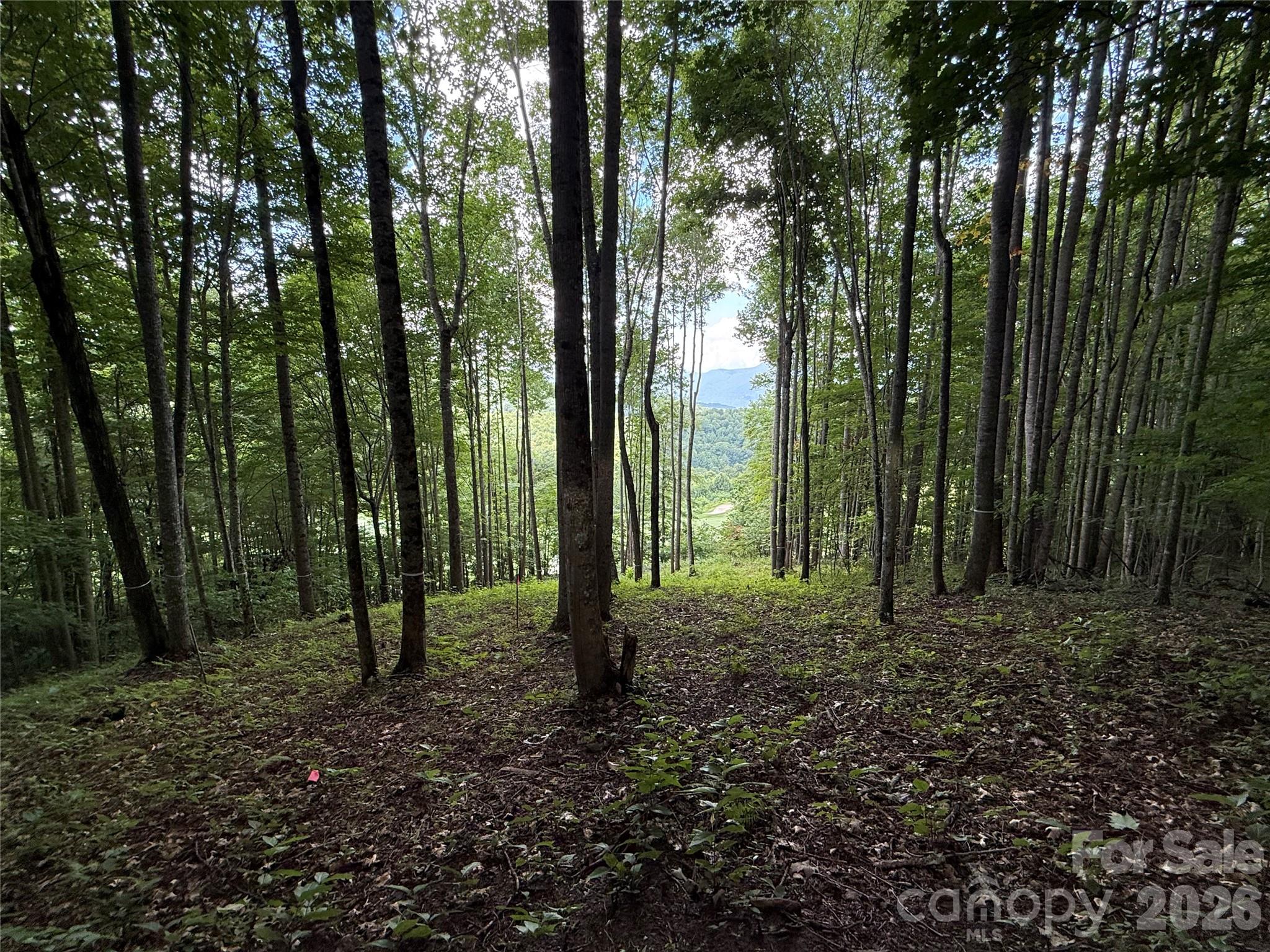 1781 High Line Road 63