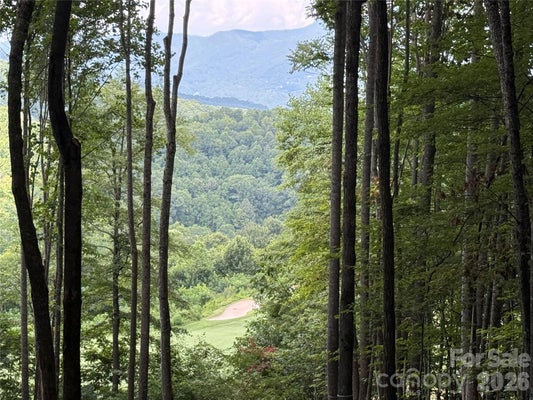1781 HIGH LINE RD # 63, SYLVA, NC 28779 - Image a3af8b8f3b8e082e13d1a3a79bd9dcac/4253189799