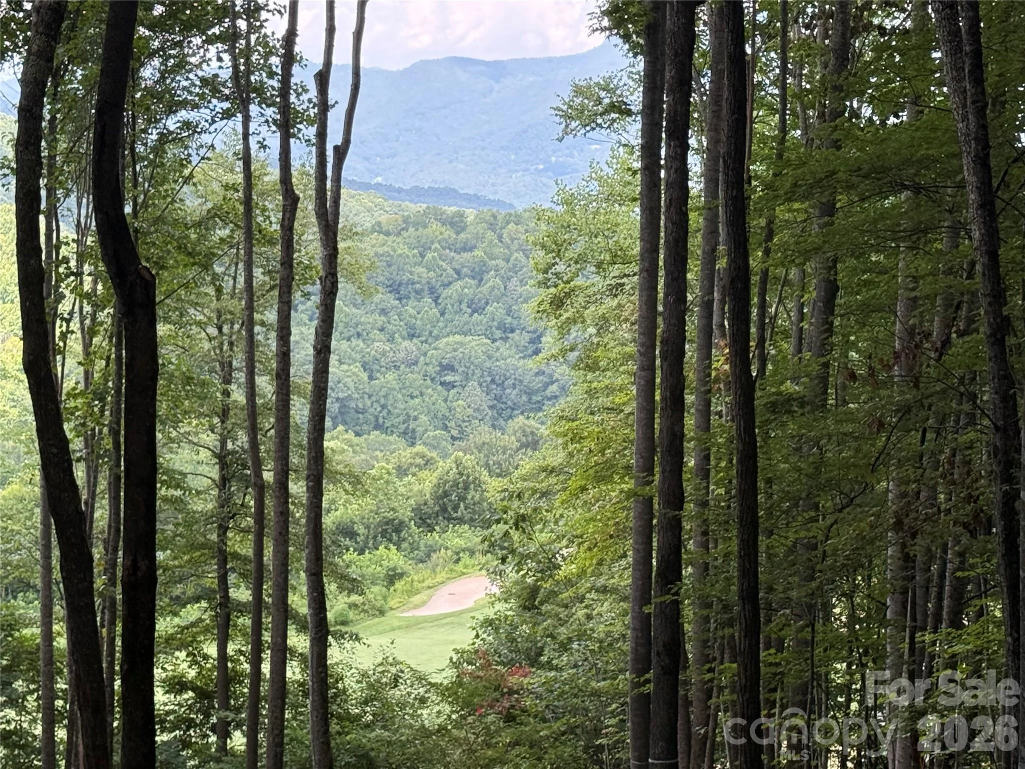 1781 High Line Road Unit 63, Sylva, NC, 28779