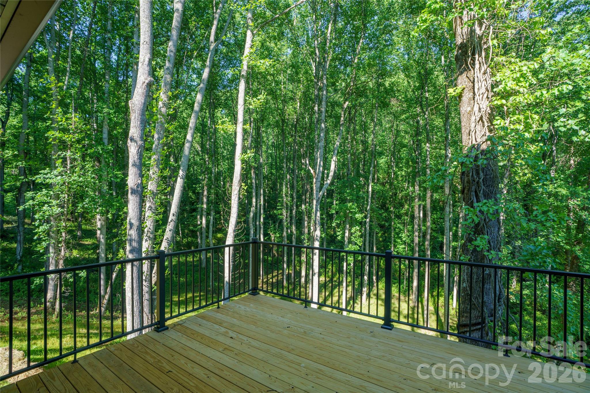 61 Bamboo Trail