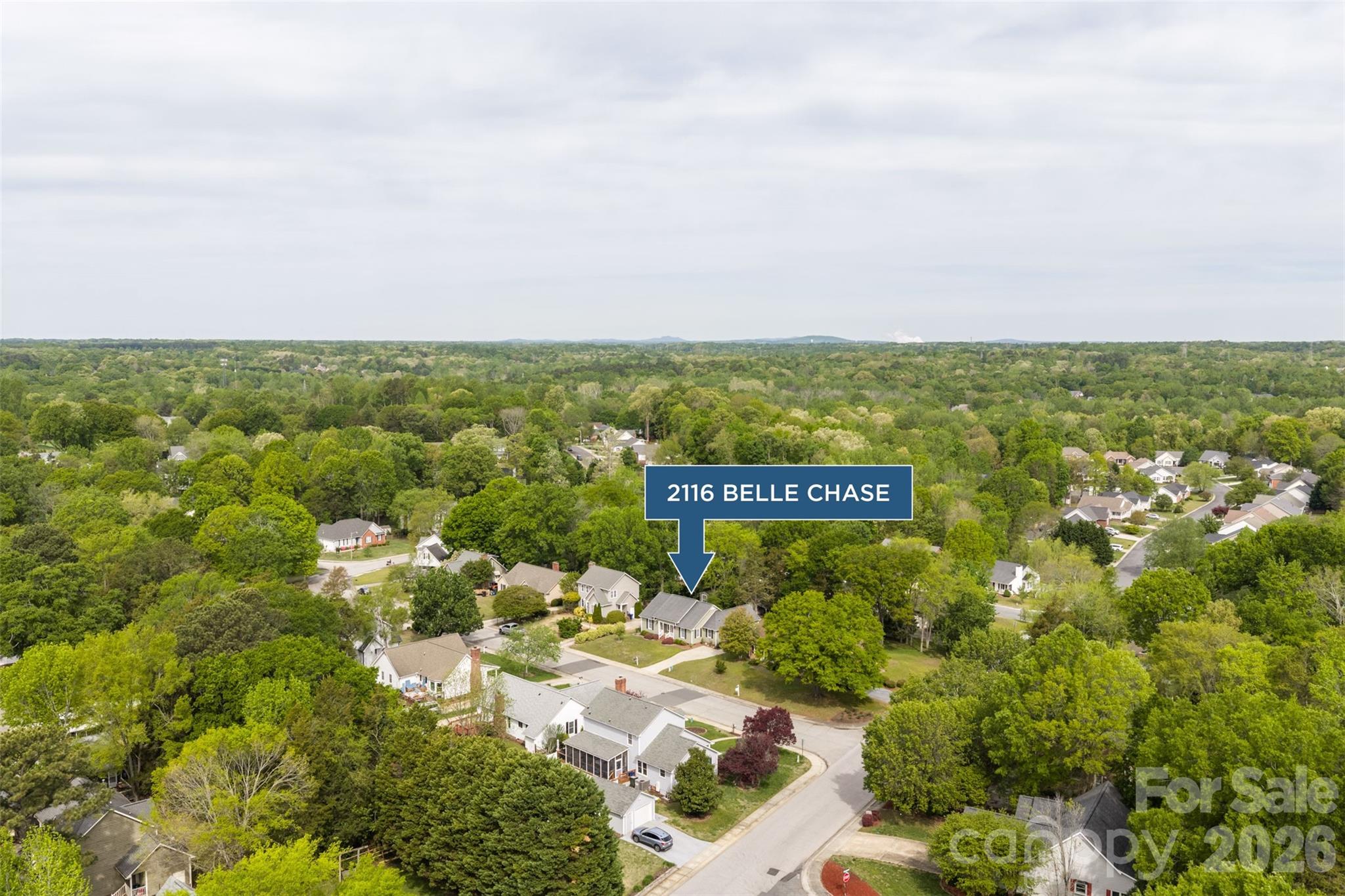 Hidden Forest - Residential