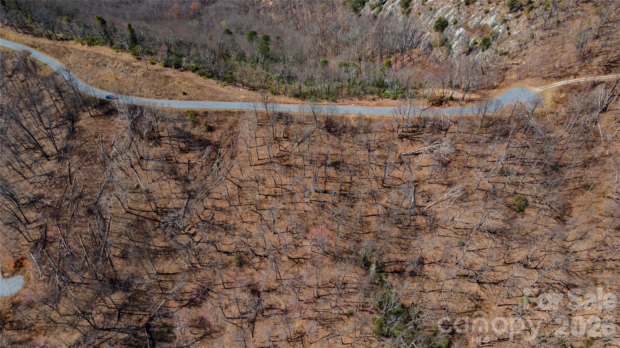 000 Devin Ridge Lane 99