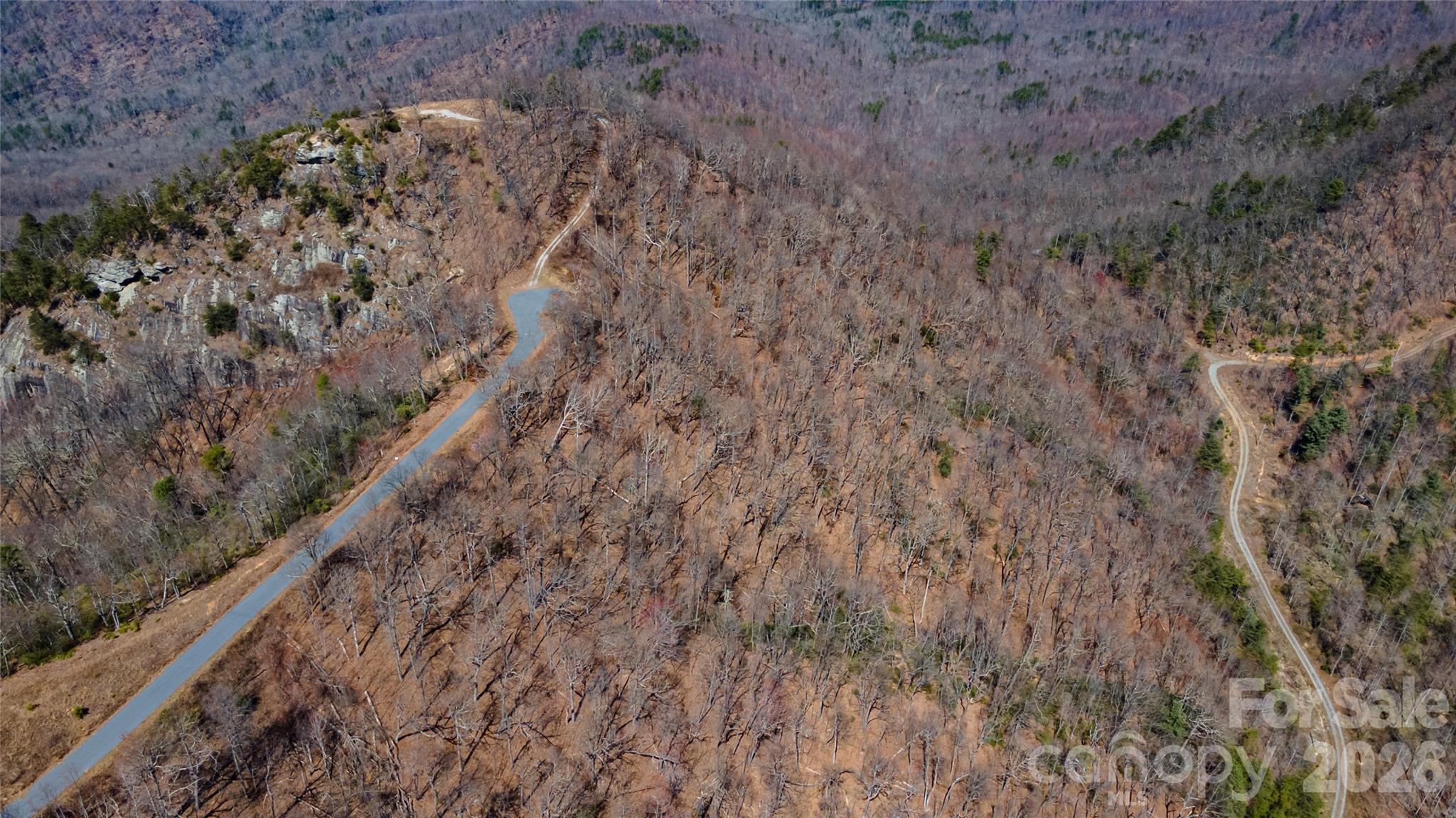 000 Devin Ridge Lane 99