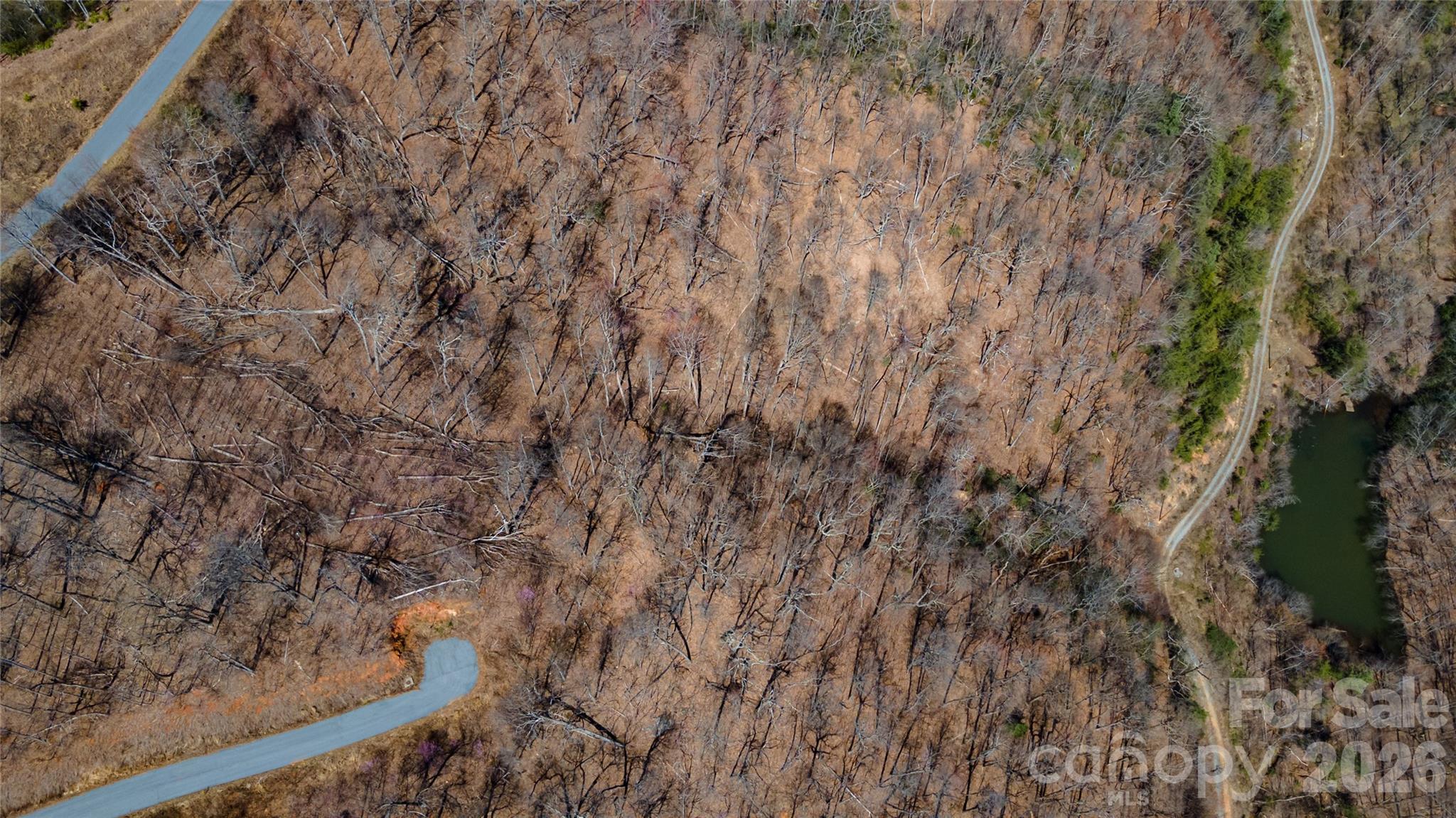 000 Devin Ridge Lane 99