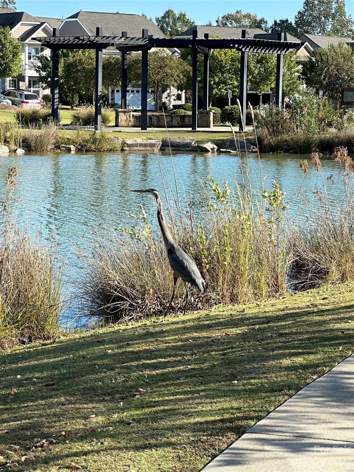 Walnut Creek - Residential