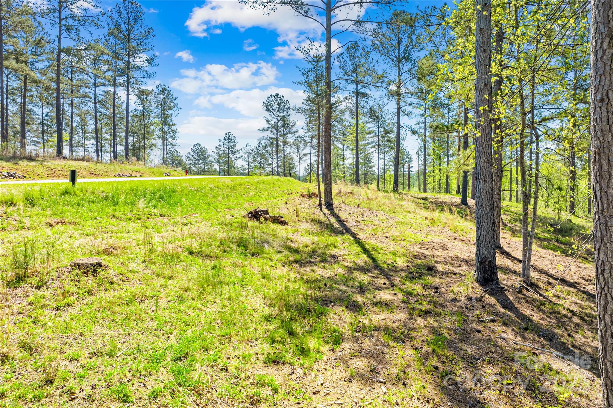 Lakeside Reserve - Land