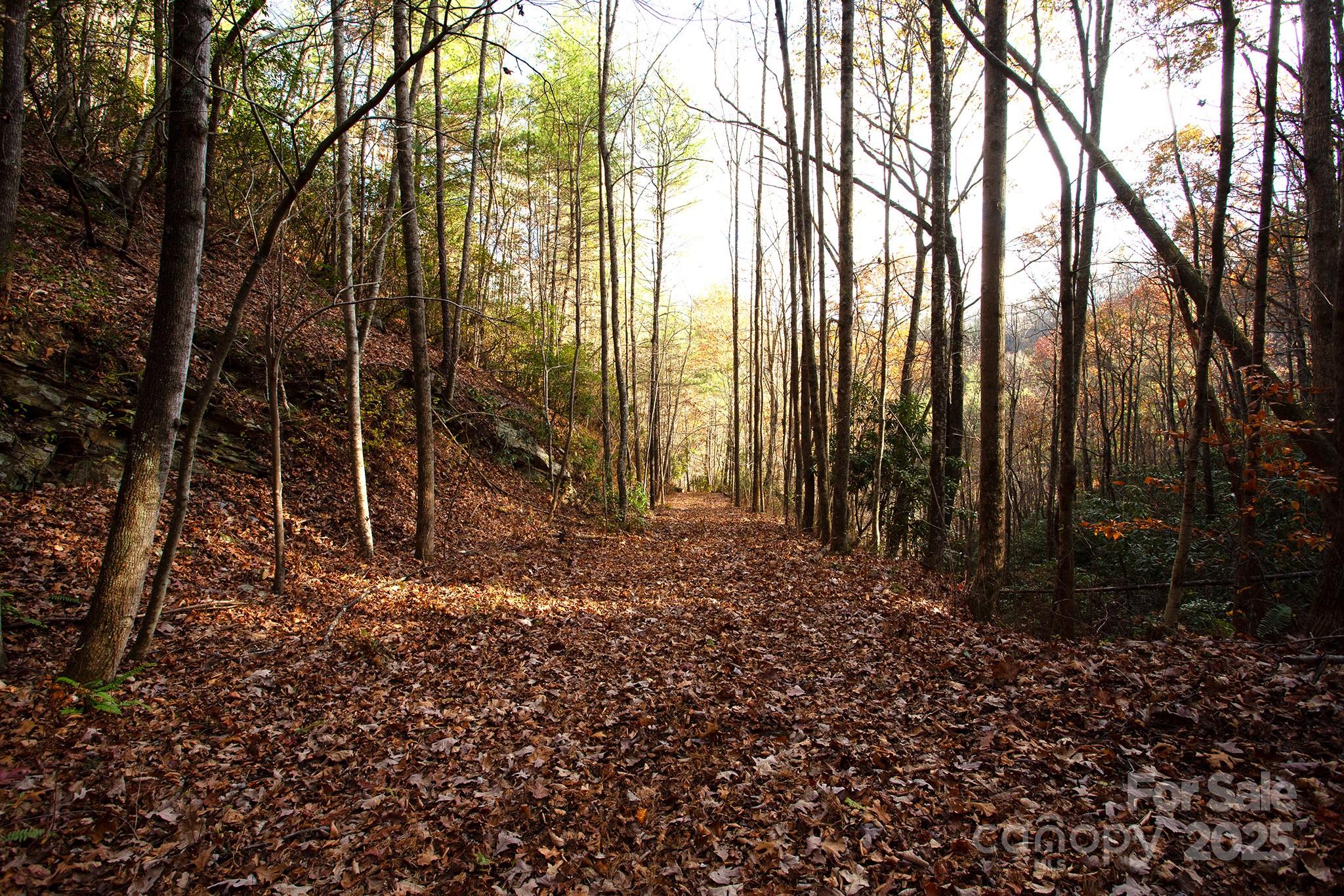 TBD Rector Branch Road 4