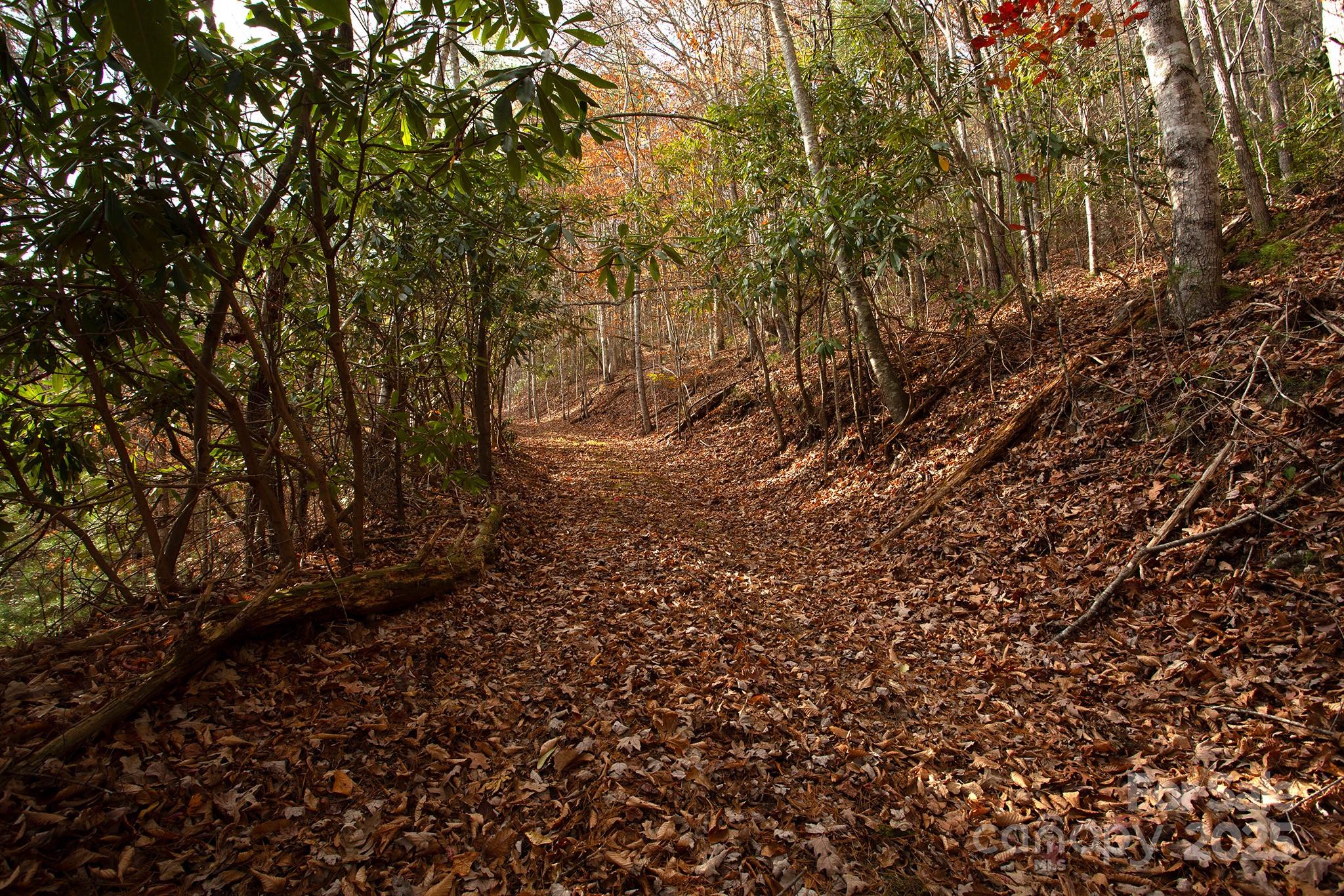 TBD Rector Branch Road 4