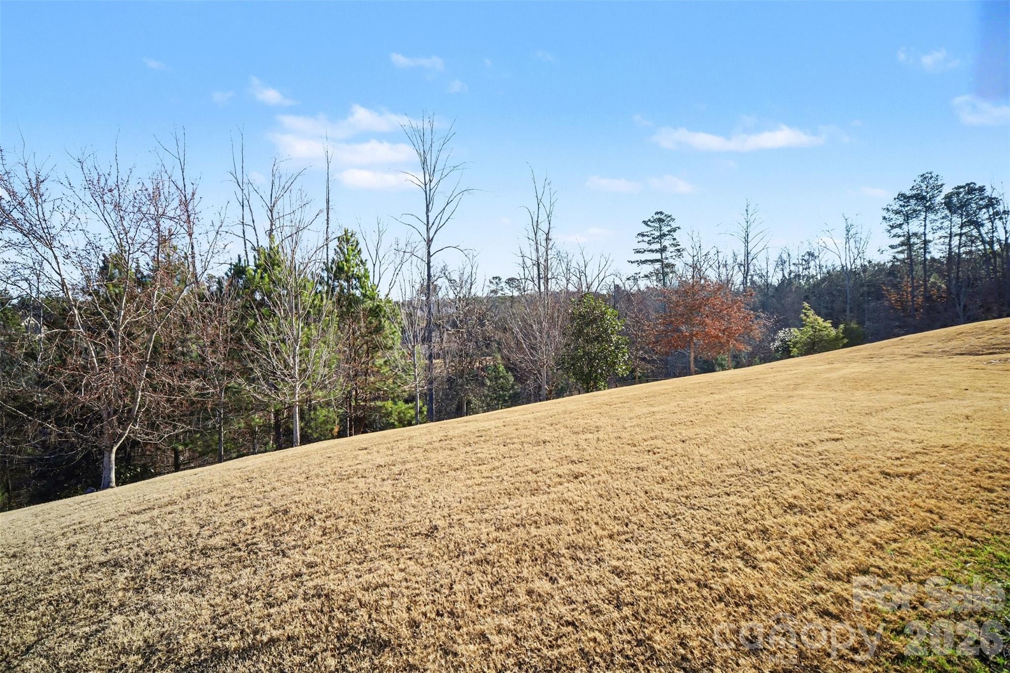 Regency at Palisades - Residential